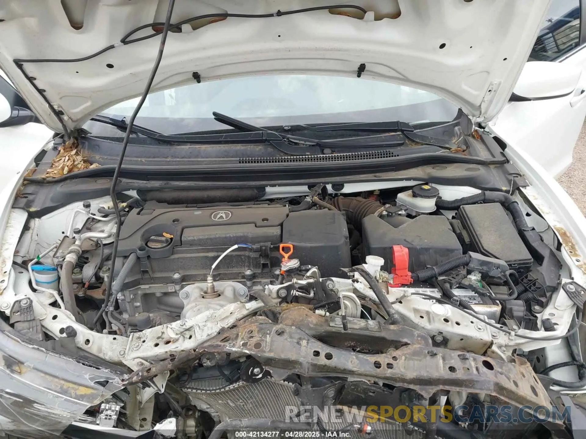 10 fotografías del automóvil dañado 19UDE2F30KA013880 ACURA ILX 2019