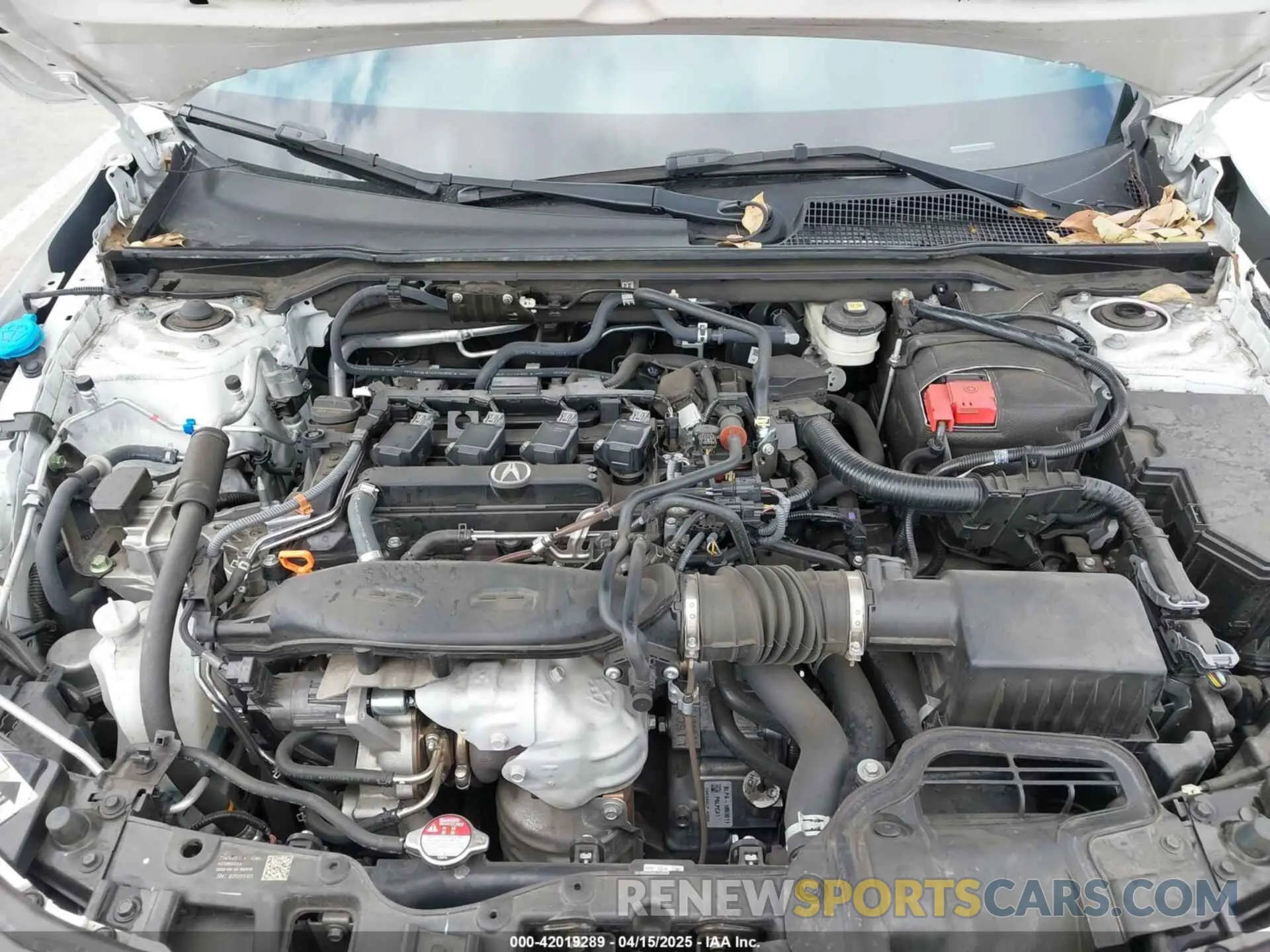 10 fotografías del automóvil dañado 19UDE4H68PA004449 ACURA INTEGRA 2023