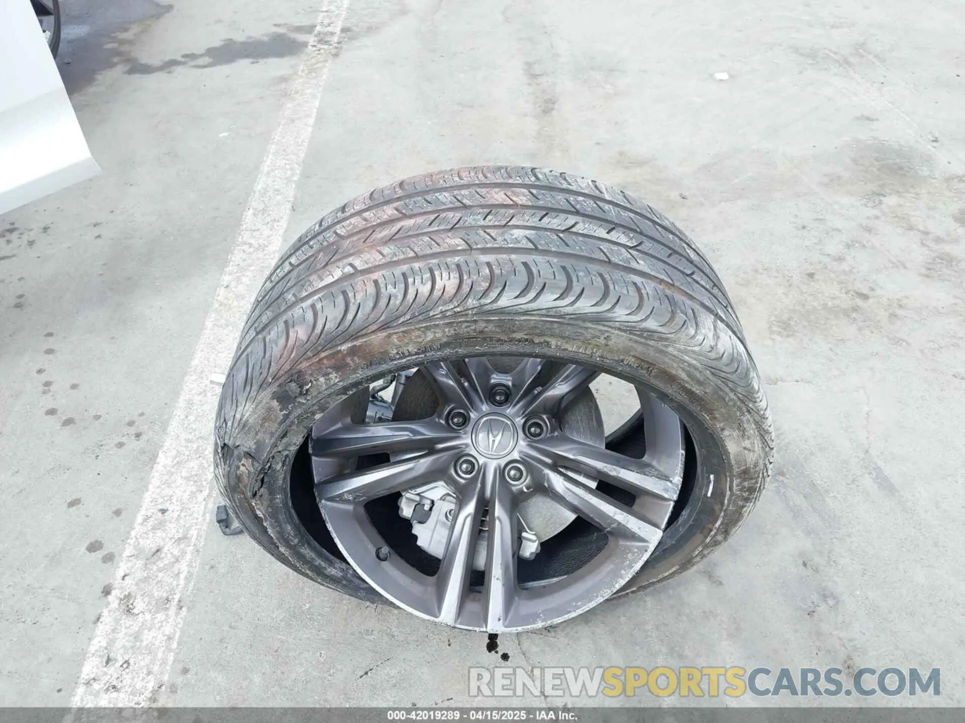 12 fotografías del automóvil dañado 19UDE4H68PA004449 ACURA INTEGRA 2023