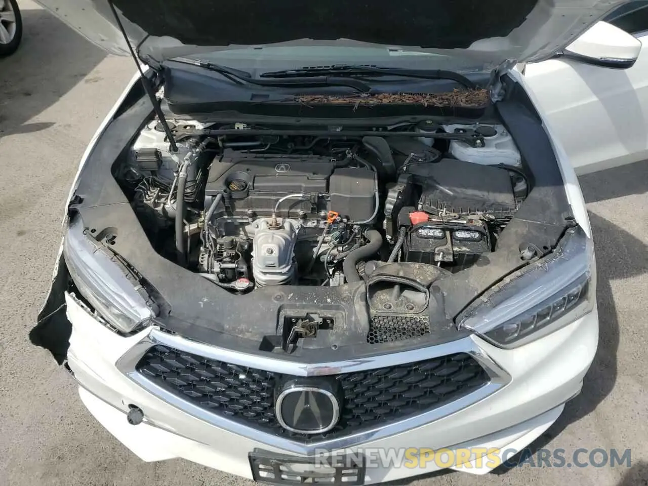 11 fotografías del automóvil dañado 19UUB1F33KA007915 ACURA TLX 2019