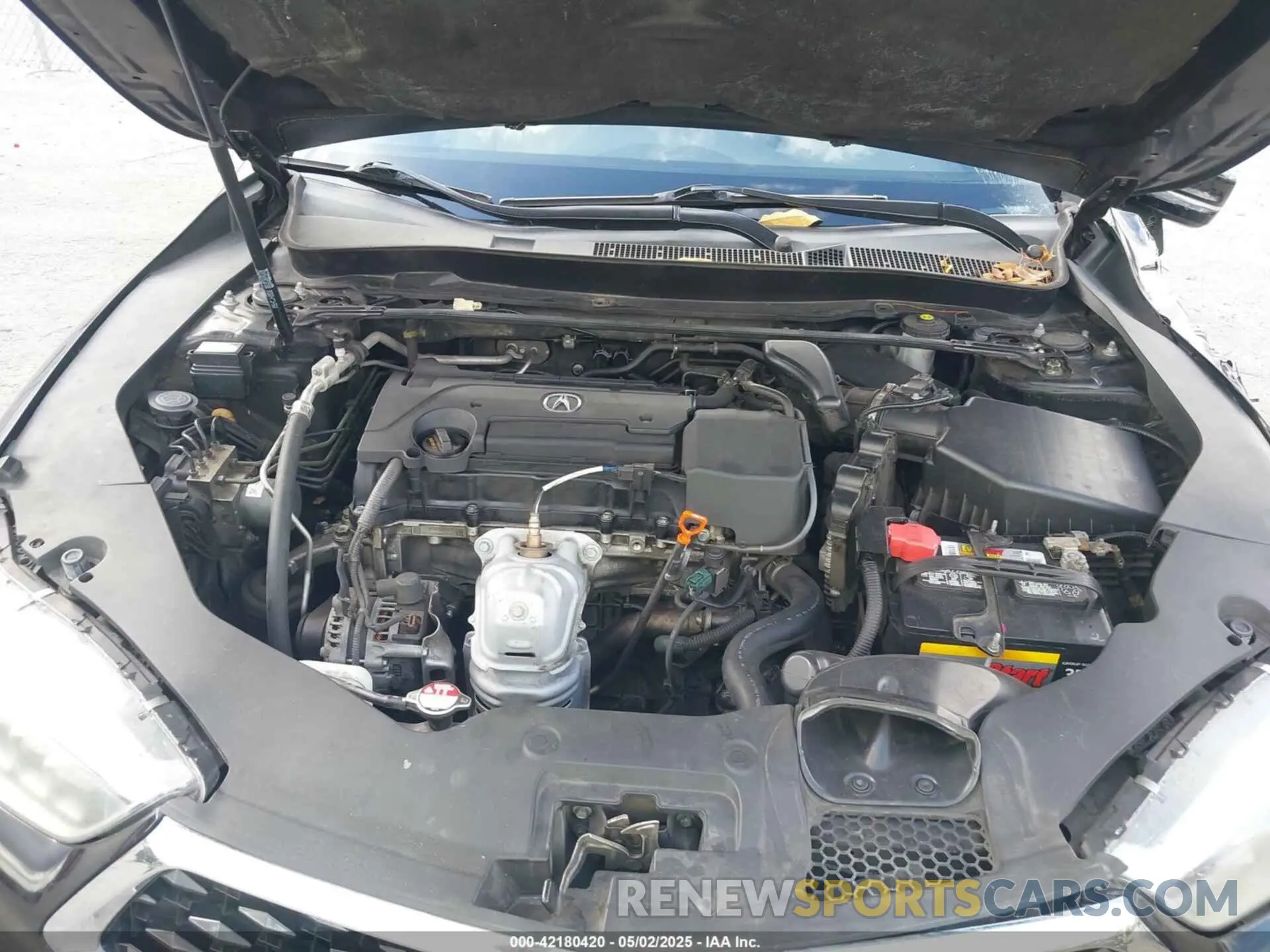 10 fotografías del automóvil dañado 19UUB1F33KA010488 ACURA TLX 2019
