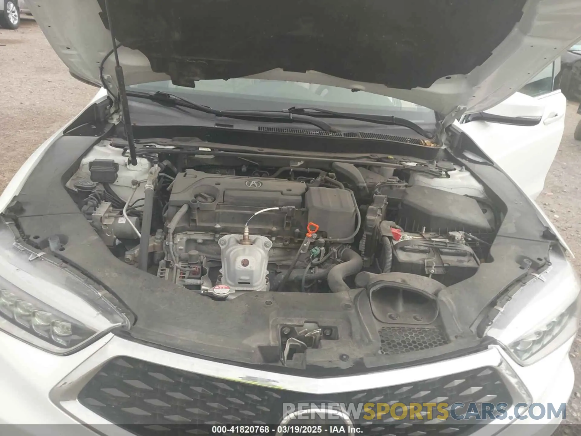 10 fotografías del automóvil dañado 19UUB1F36KA006211 ACURA TLX 2019
