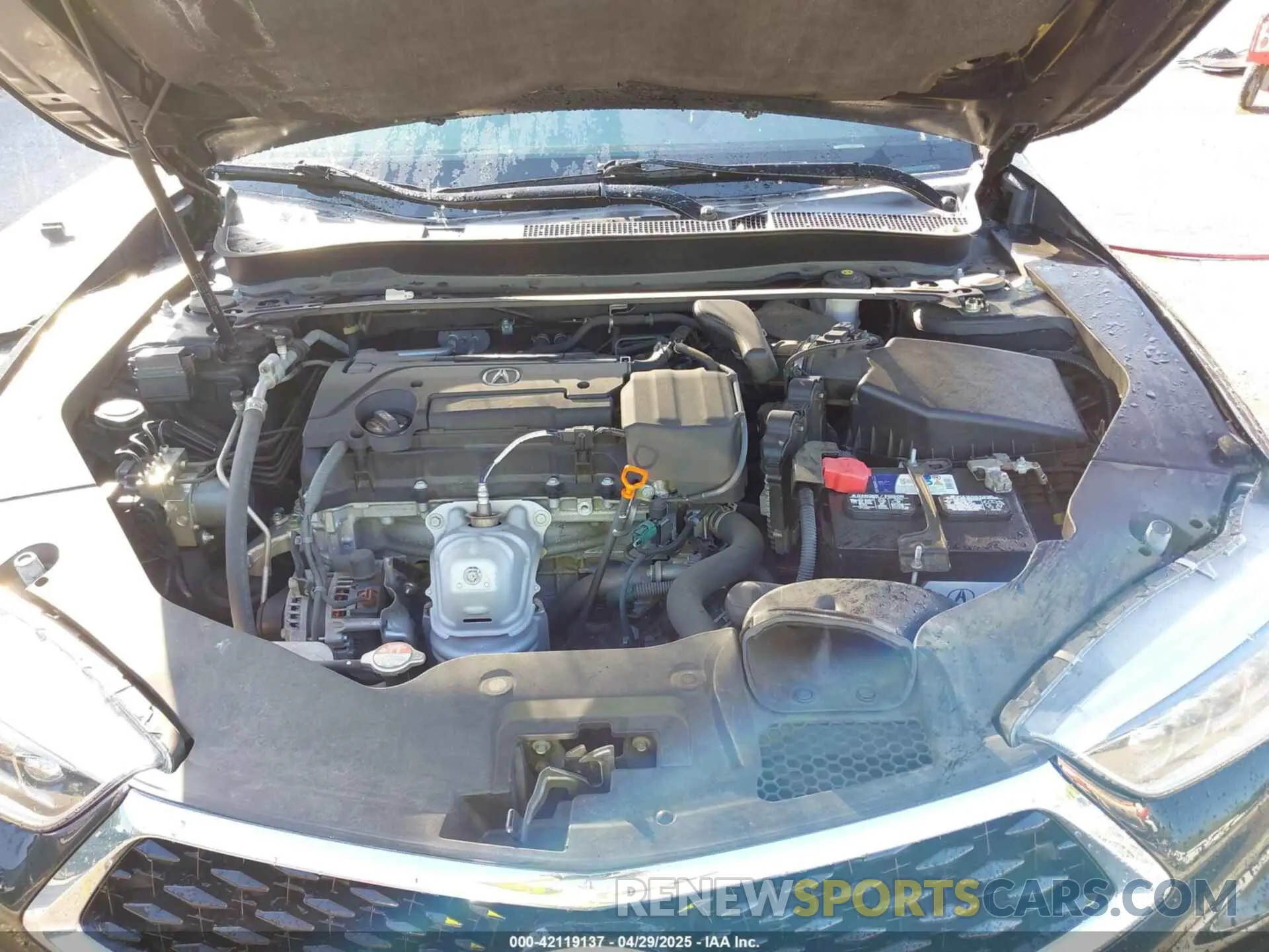 10 fotografías del automóvil dañado 19UUB1F52KA000293 ACURA TLX 2019