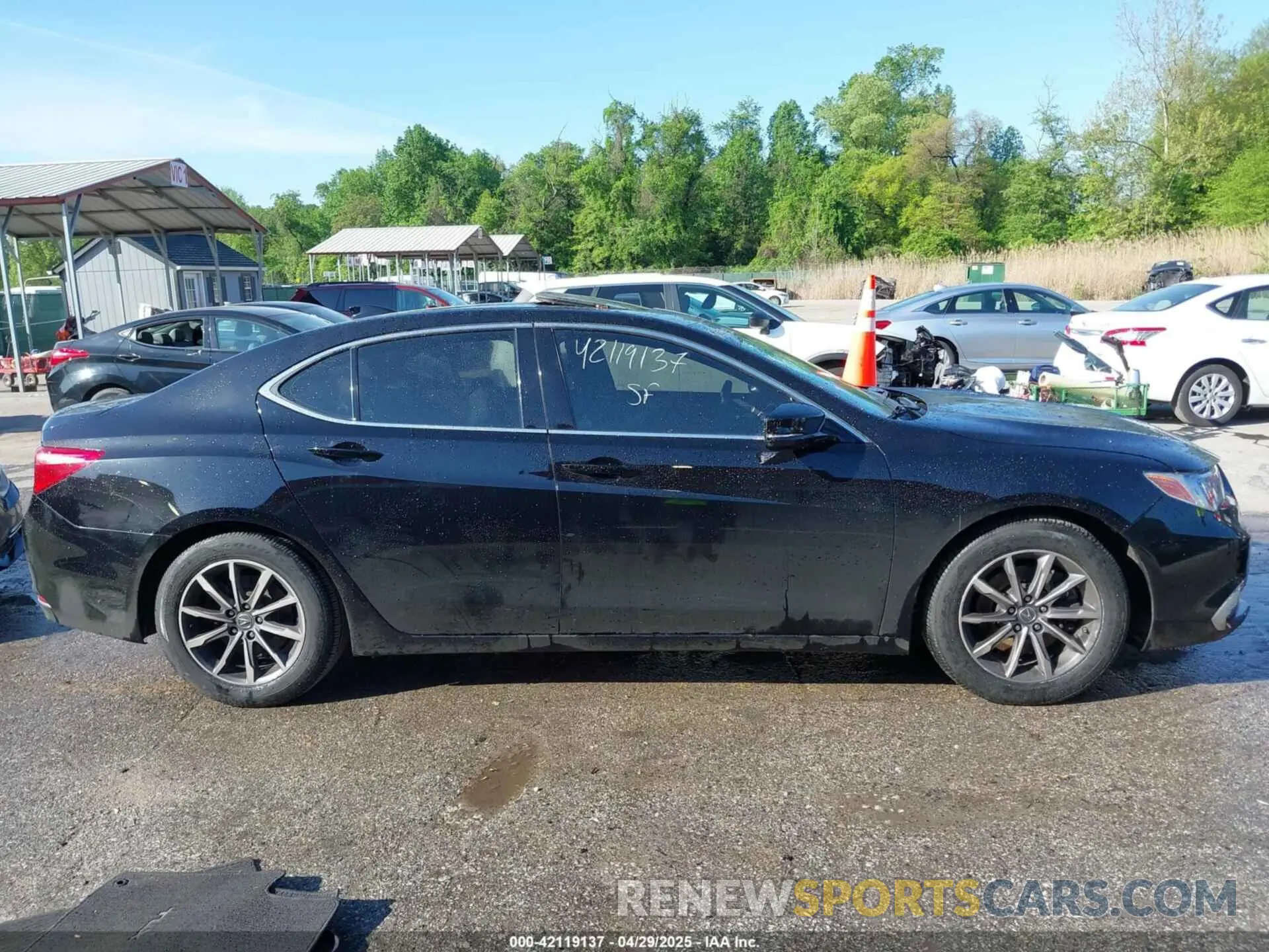 12 fotografías del automóvil dañado 19UUB1F52KA000293 ACURA TLX 2019