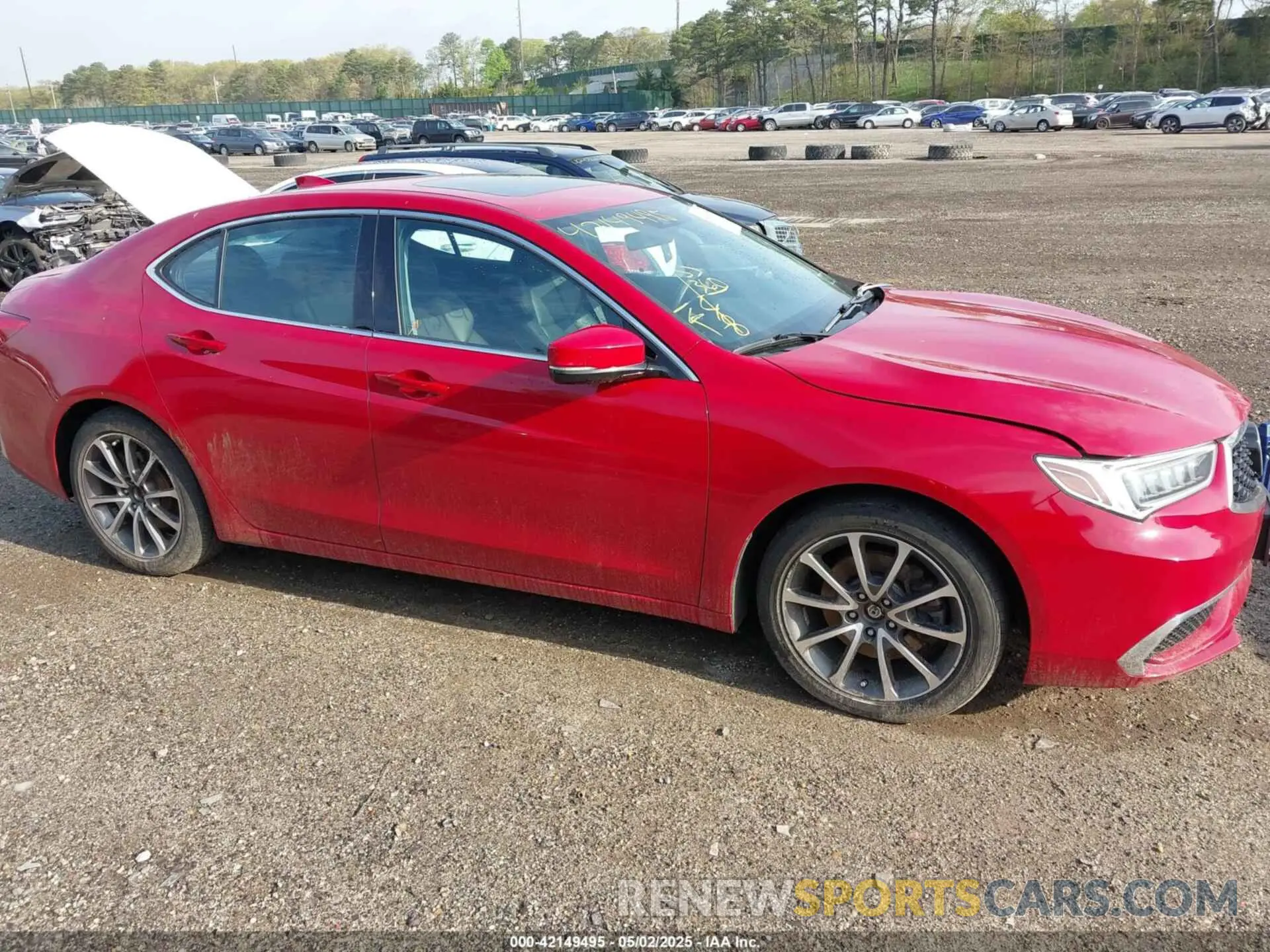 13 fotografías del automóvil dañado 19UUB2F37KA005185 ACURA TLX 2019