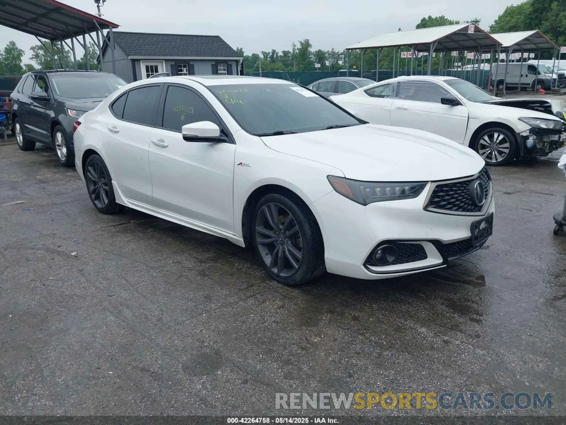 1 fotografías del automóvil dañado 19UUB2F63KA004061 ACURA TLX 2019