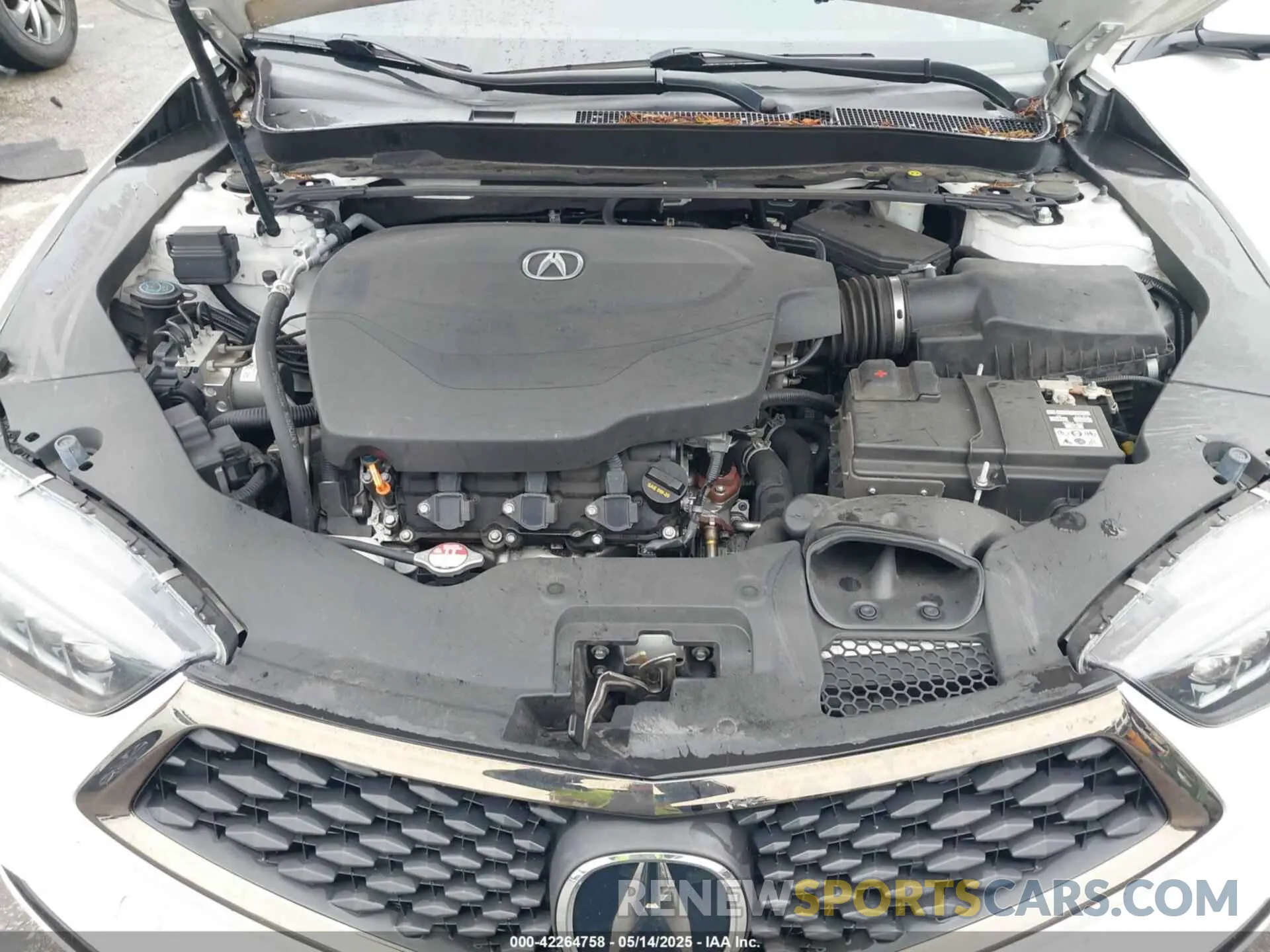 10 fotografías del automóvil dañado 19UUB2F63KA004061 ACURA TLX 2019