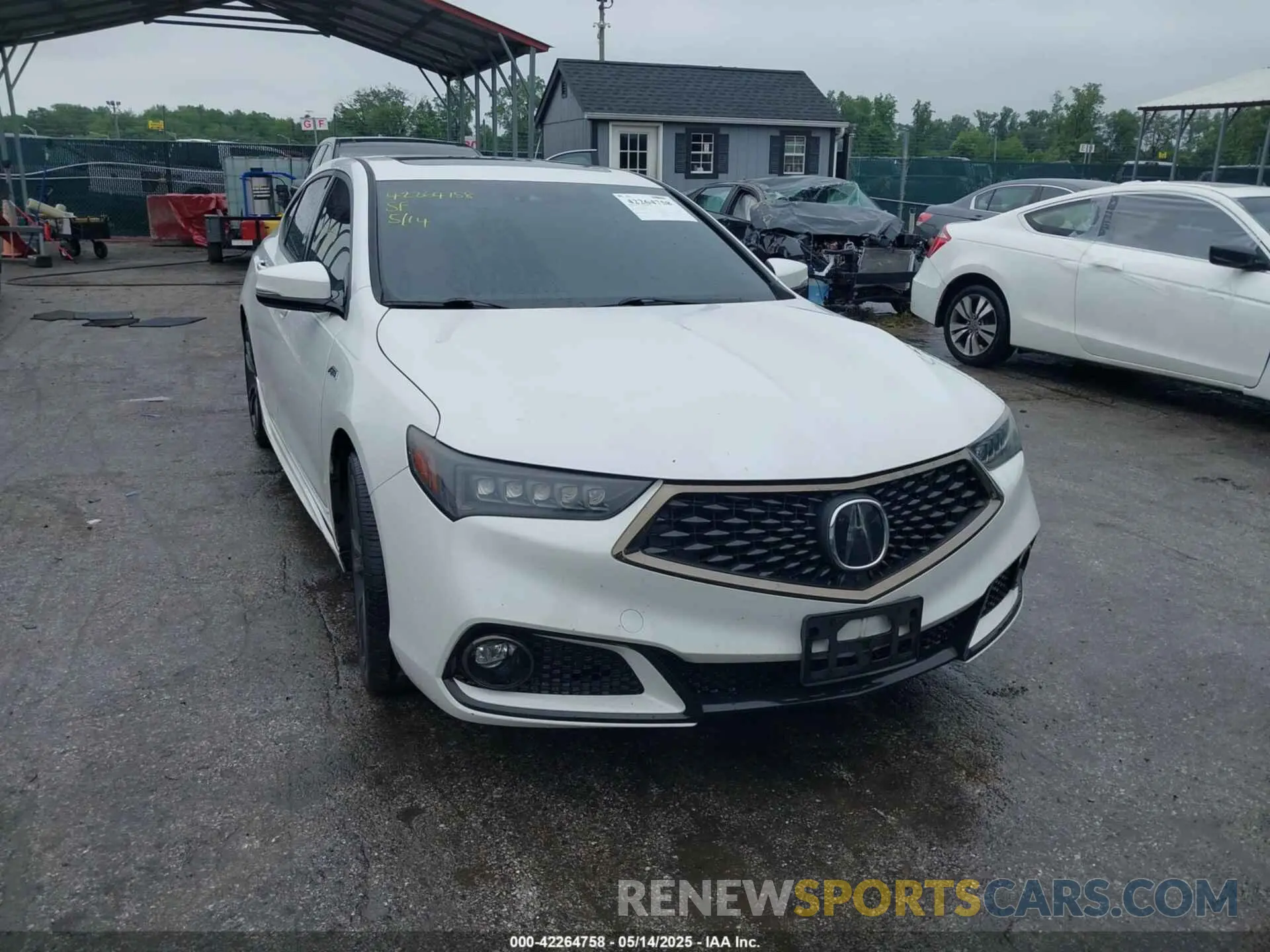 11 fotografías del automóvil dañado 19UUB2F63KA004061 ACURA TLX 2019