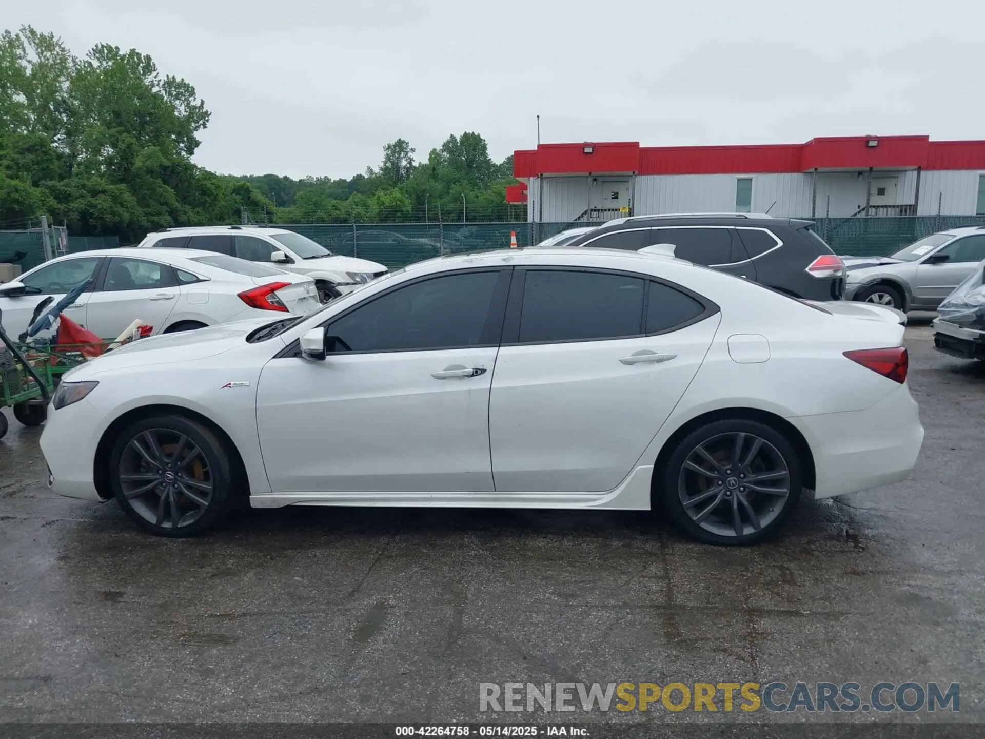 13 fotografías del automóvil dañado 19UUB2F63KA004061 ACURA TLX 2019