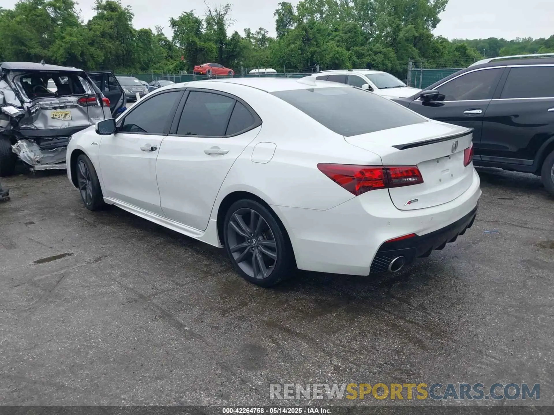 3 fotografías del automóvil dañado 19UUB2F63KA004061 ACURA TLX 2019