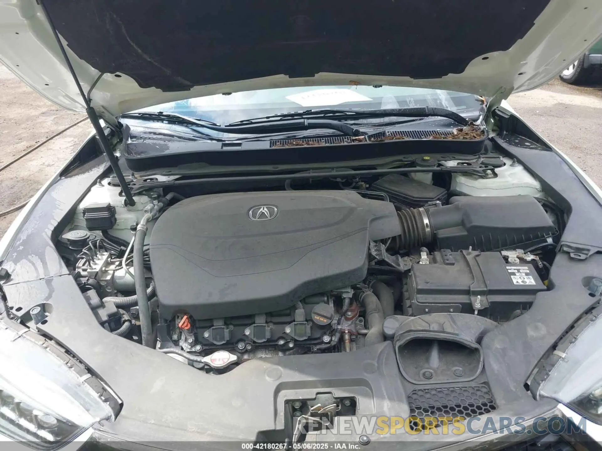 10 fotografías del automóvil dañado 19UUB3F60KA005206 ACURA TLX 2019
