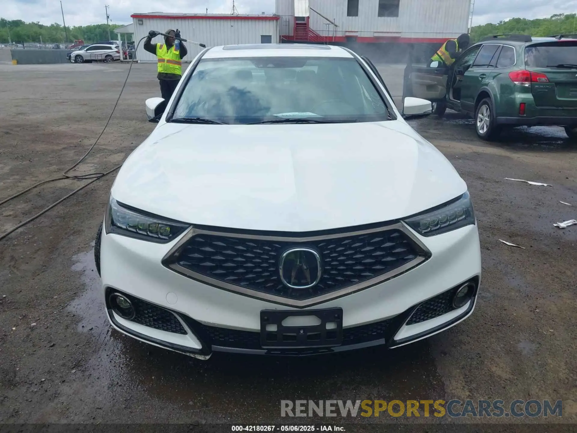 12 fotografías del automóvil dañado 19UUB3F60KA005206 ACURA TLX 2019
