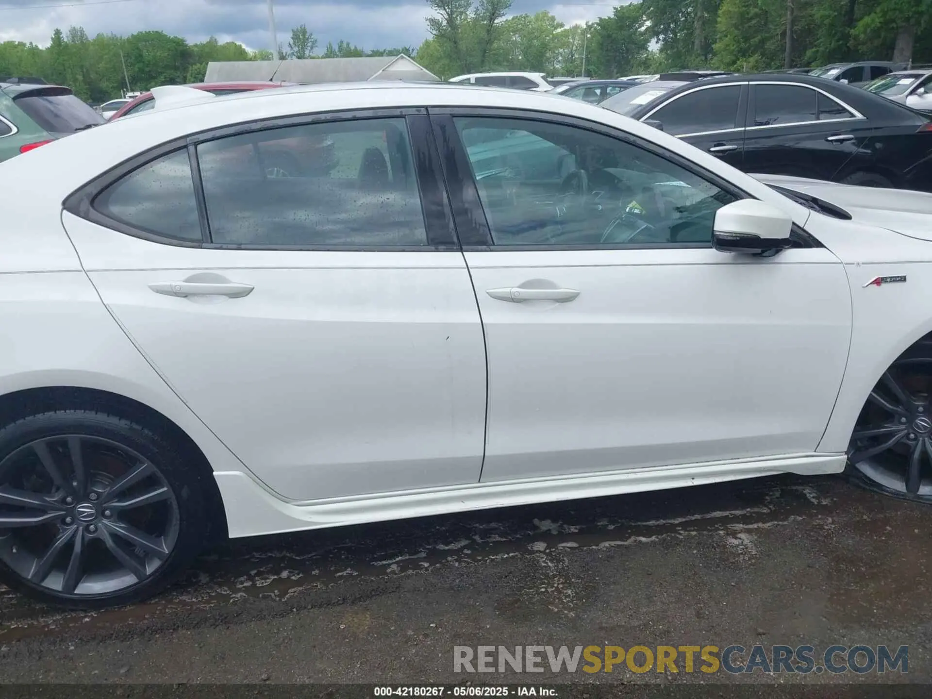 13 fotografías del automóvil dañado 19UUB3F60KA005206 ACURA TLX 2019