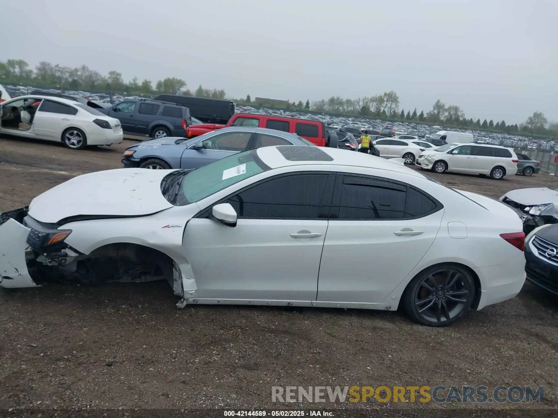 14 fotografías del automóvil dañado 19UUB3F63KA800671 ACURA TLX 2019