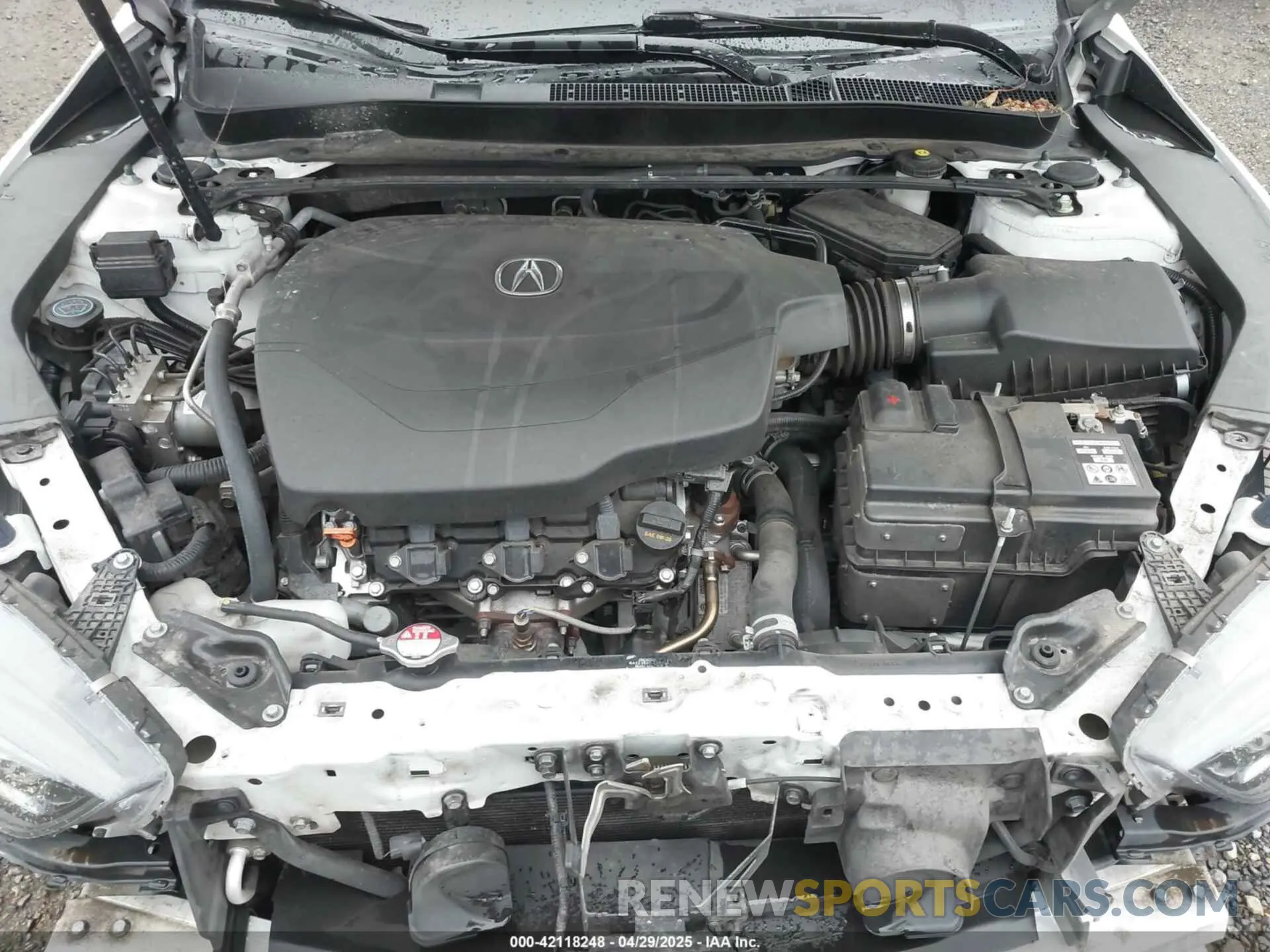 10 fotografías del automóvil dañado 19UUB3F6XKA003799 ACURA TLX 2019