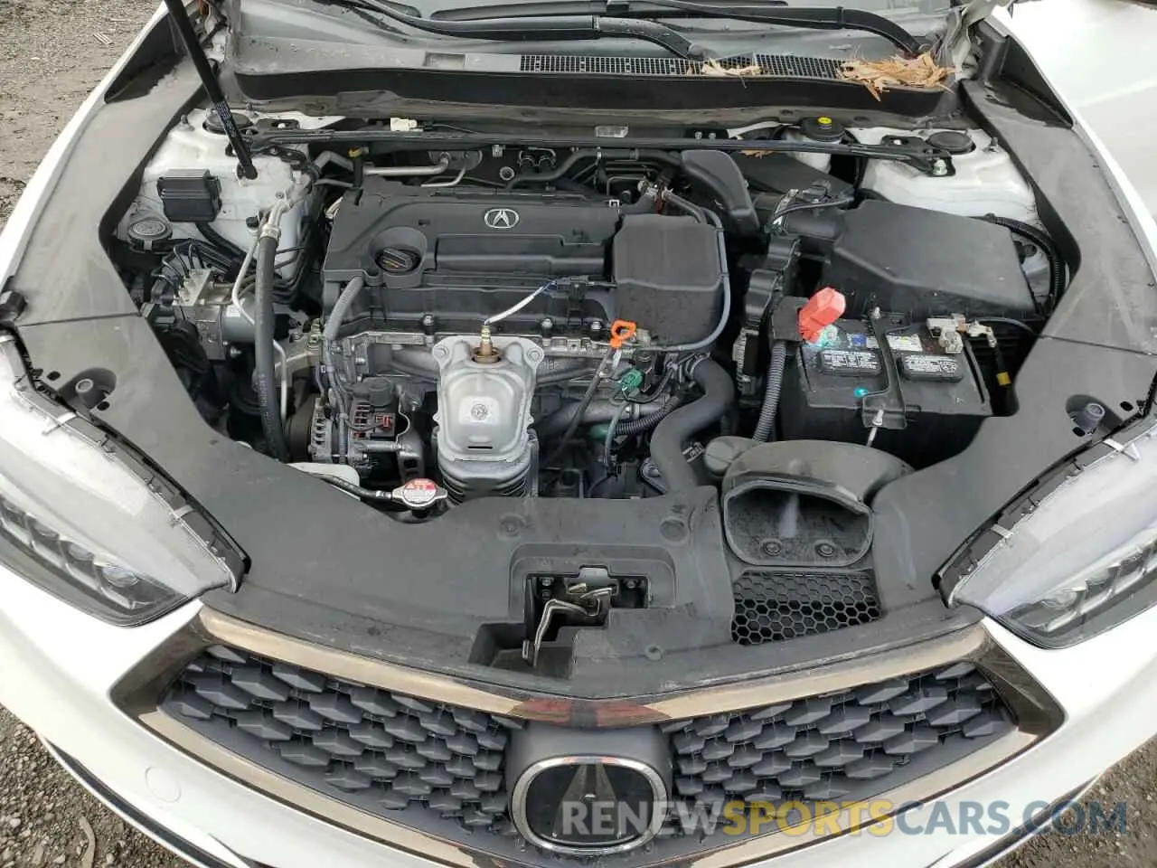12 fotografías del automóvil dañado 19UUB1F62LA012955 ACURA TLX 2020