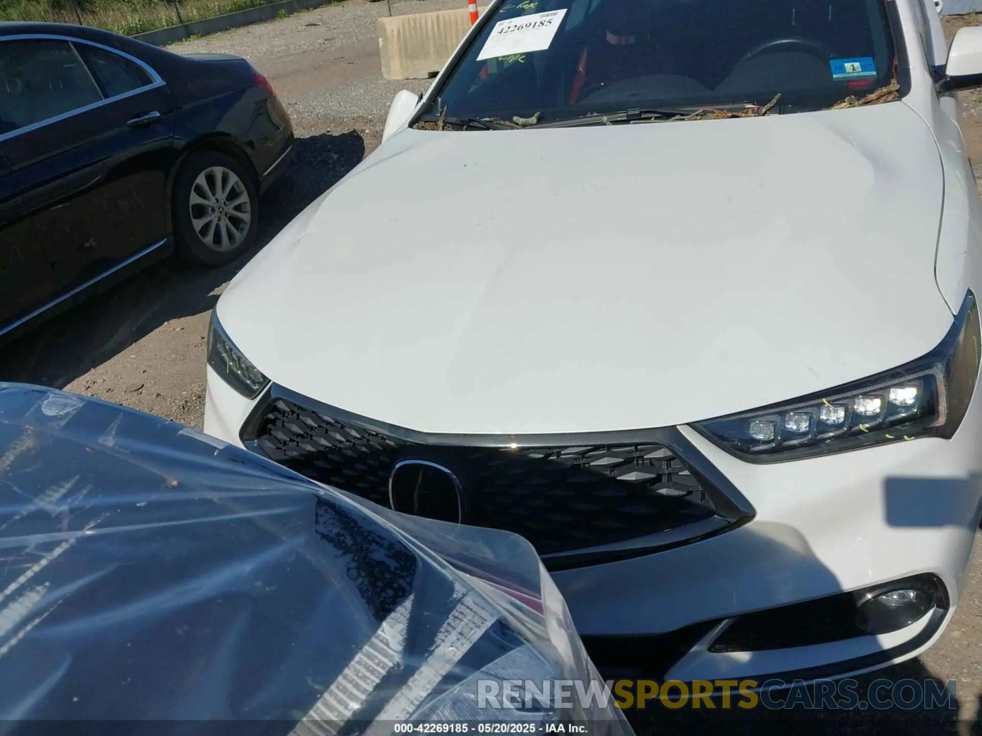 12 fotografías del automóvil dañado 19UUB1F64LA009815 ACURA TLX 2020