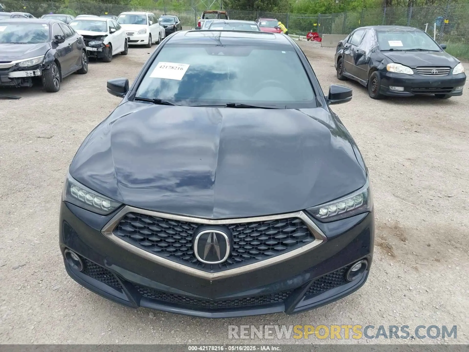 12 fotografías del automóvil dañado 19UUB3F60LA002856 ACURA TLX 2020