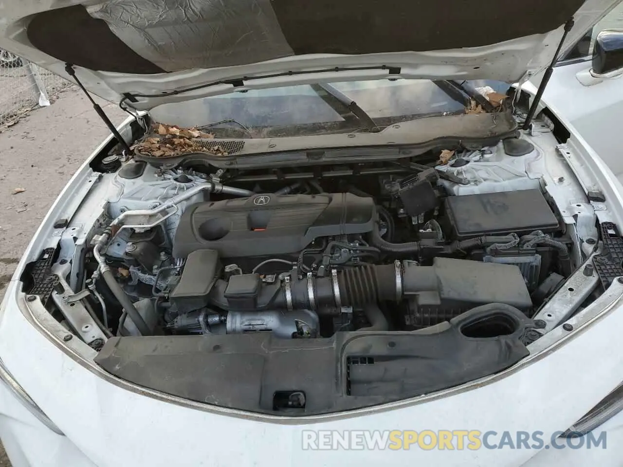 11 fotografías del automóvil dañado 19UUB5F31MA000830 ACURA TLX 2021