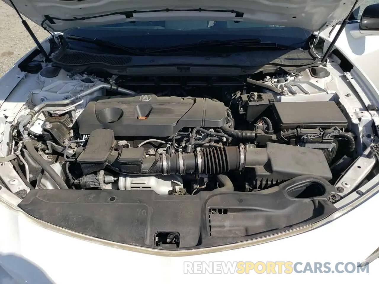 11 fotografías del automóvil dañado 19UUB5F31MA002383 ACURA TLX 2021