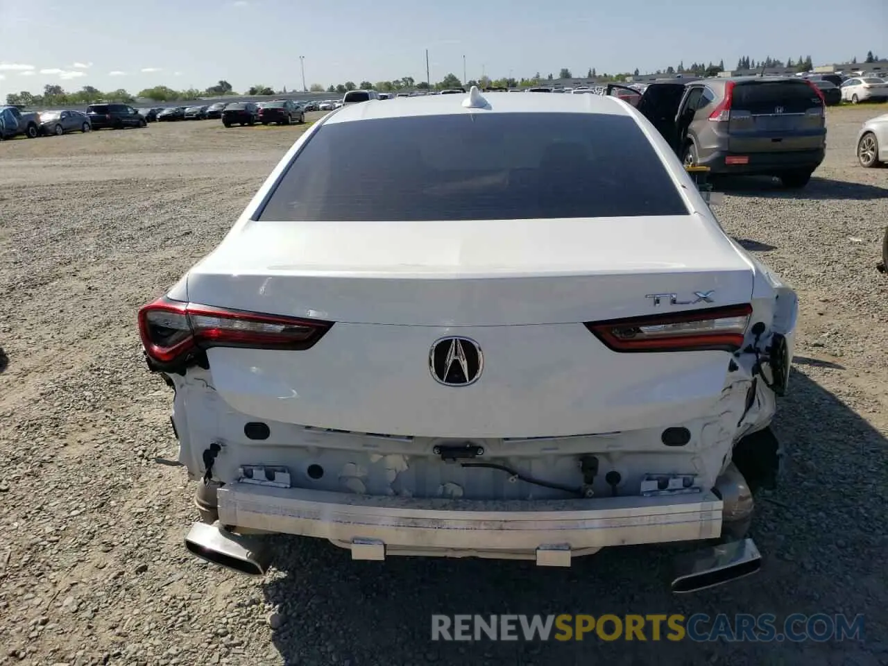 6 fotografías del automóvil dañado 19UUB5F31MA002383 ACURA TLX 2021