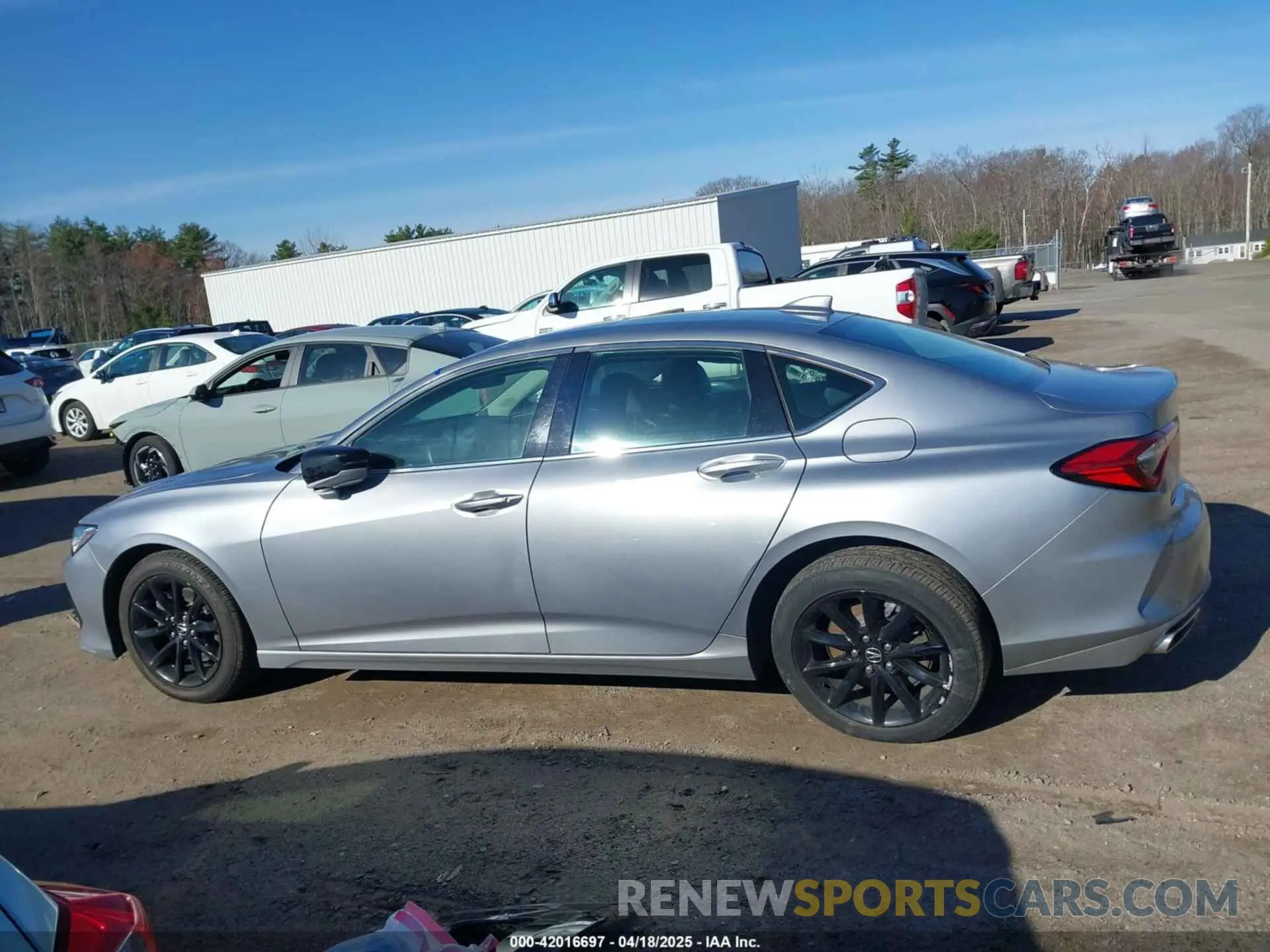 14 fotografías del automóvil dañado 19UUB5F3XMA011289 ACURA TLX 2021