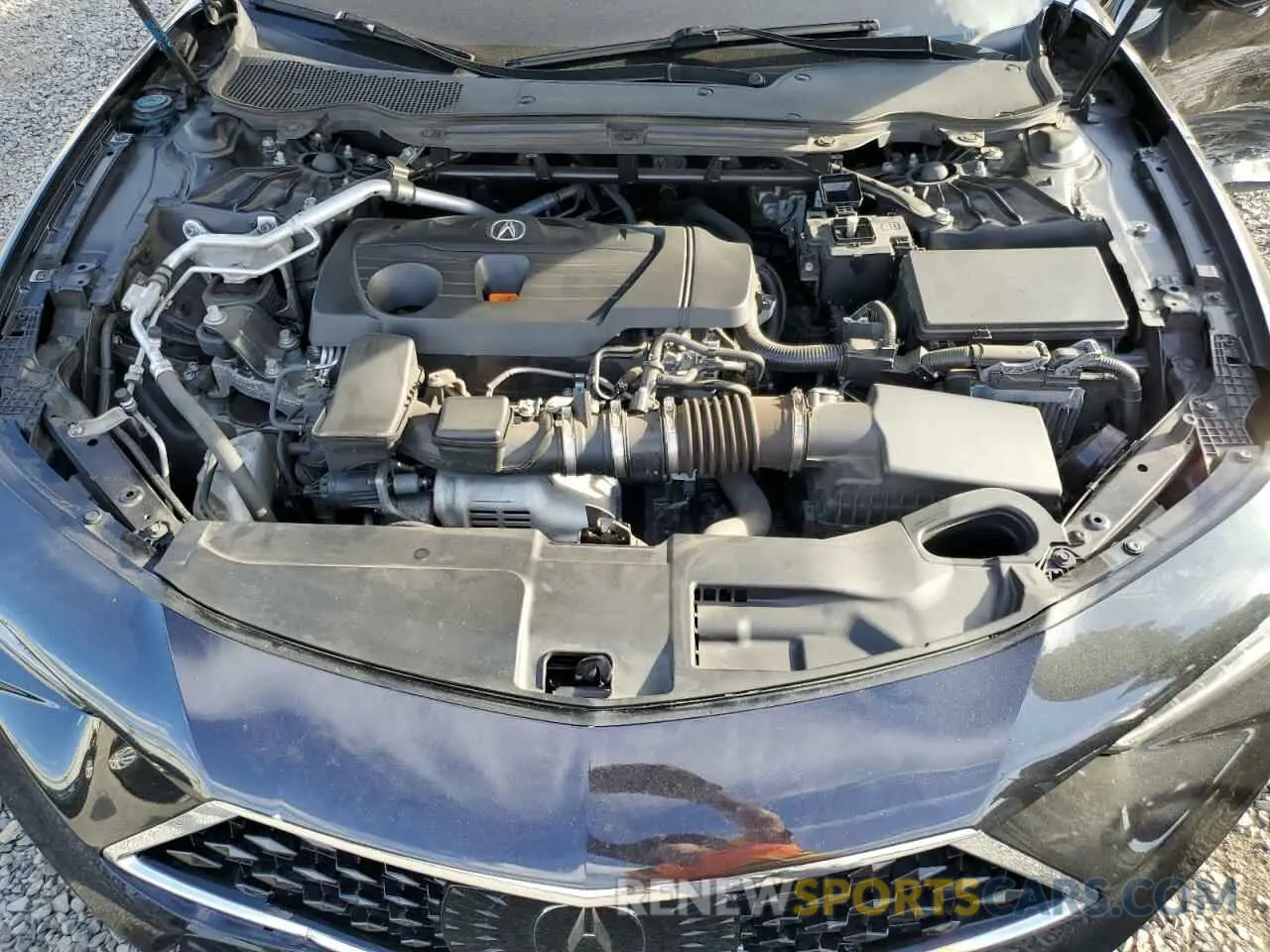12 fotografías del automóvil dañado 19UUB5F45MA006185 ACURA TLX 2021