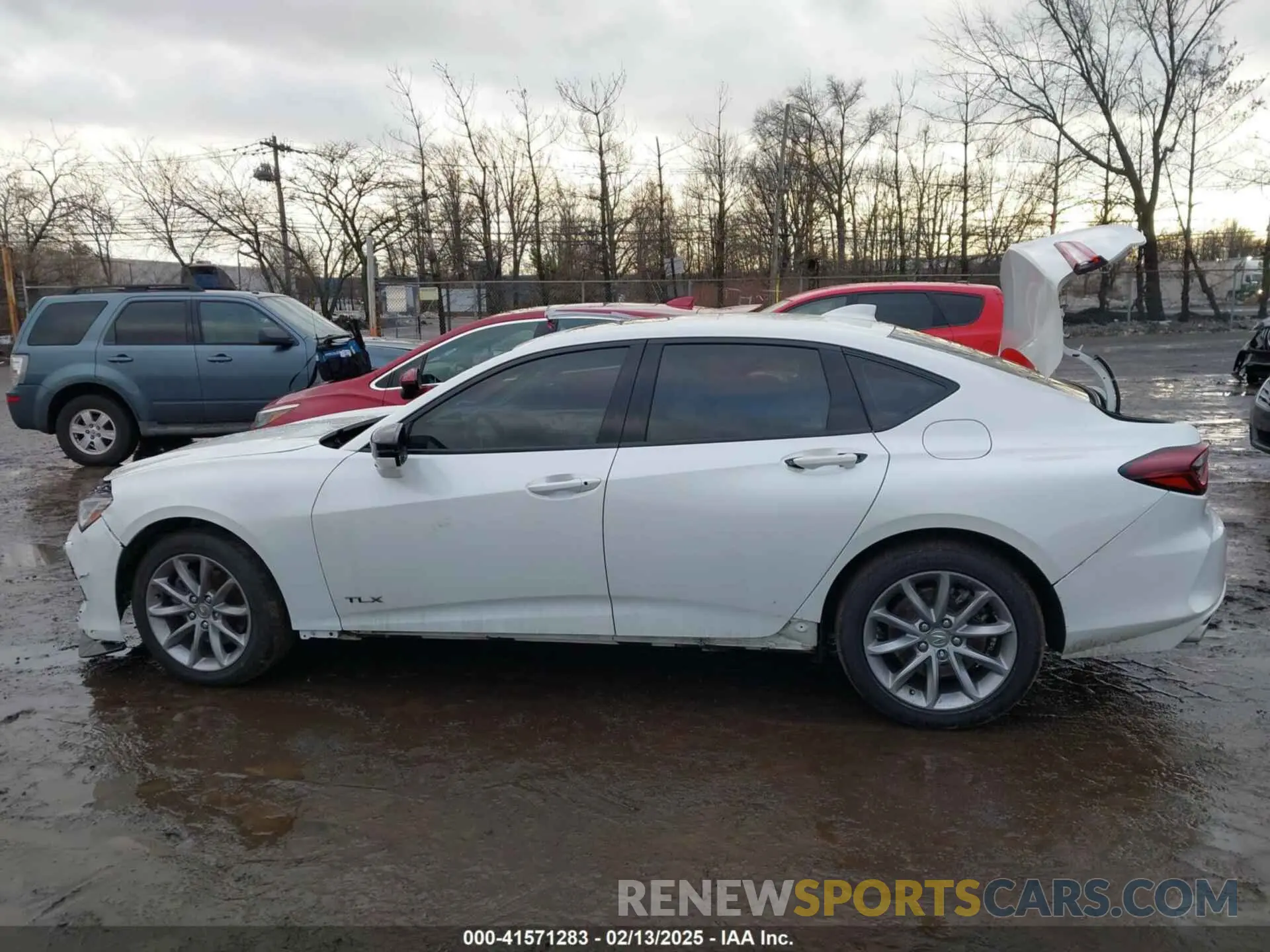 13 fotografías del automóvil dañado 19UUB5F53MA012897 ACURA TLX 2021