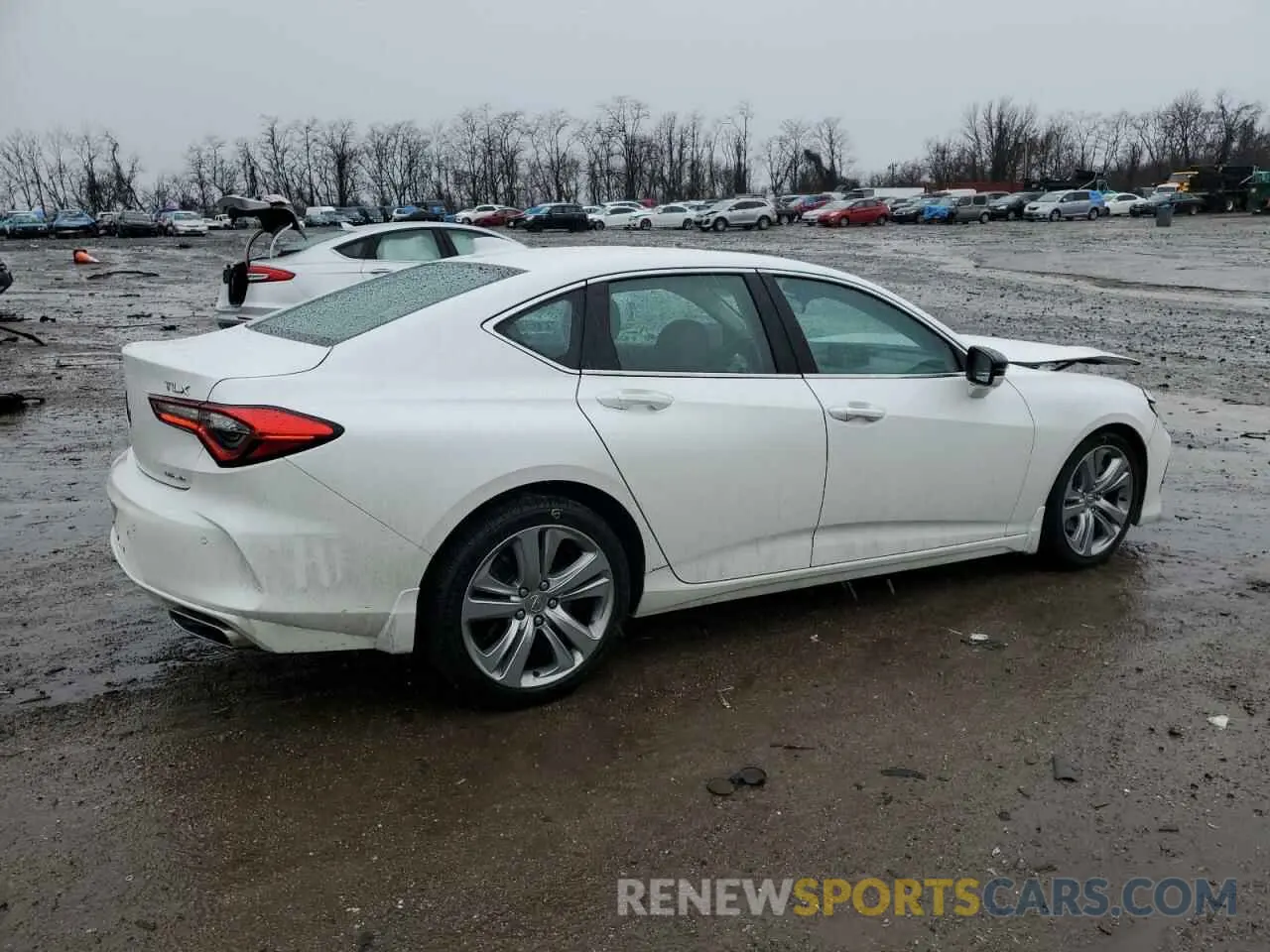 3 fotografías del automóvil dañado 19UUB6F4XMA008858 ACURA TLX 2021