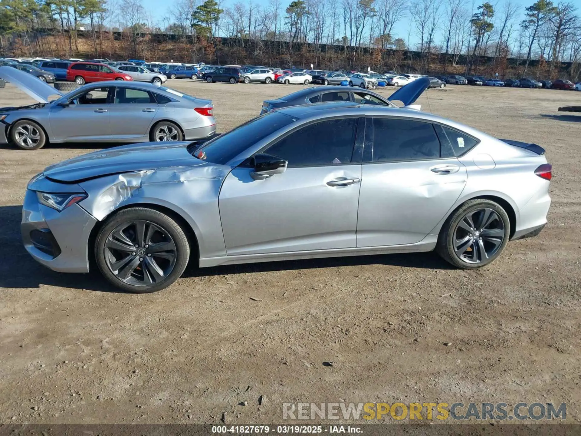 13 fotografías del automóvil dañado 19UUB6F51MA009292 ACURA TLX 2021