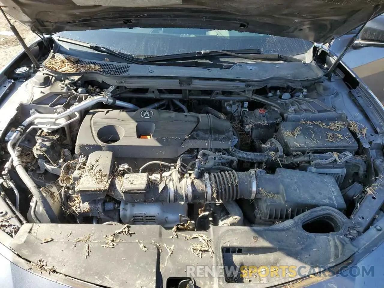 12 fotografías del automóvil dañado 19UUB6F54MA009836 ACURA TLX 2021