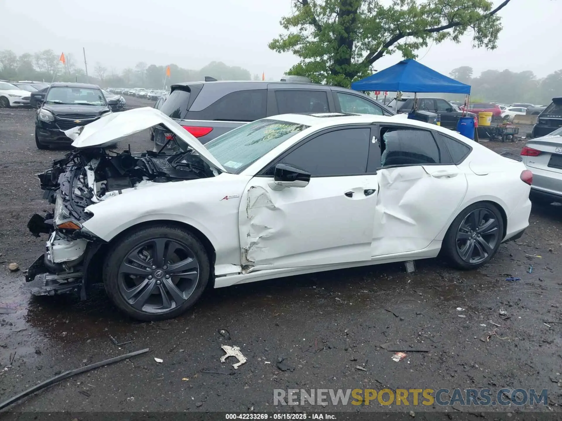 14 fotografías del automóvil dañado 19UUB5F53PA007302 ACURA TLX 2023