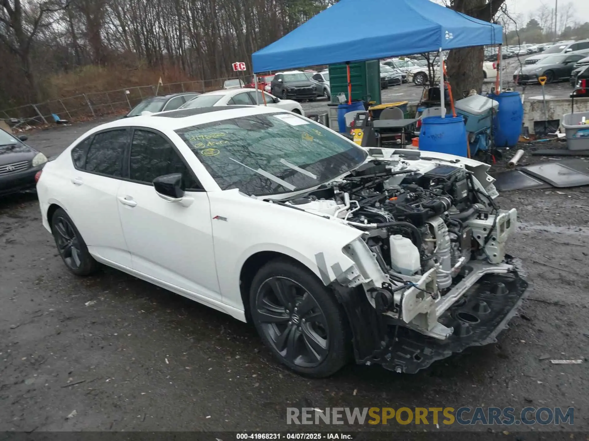 13 fotografías del automóvil dañado 19UUB6F52PA002372 ACURA TLX 2023