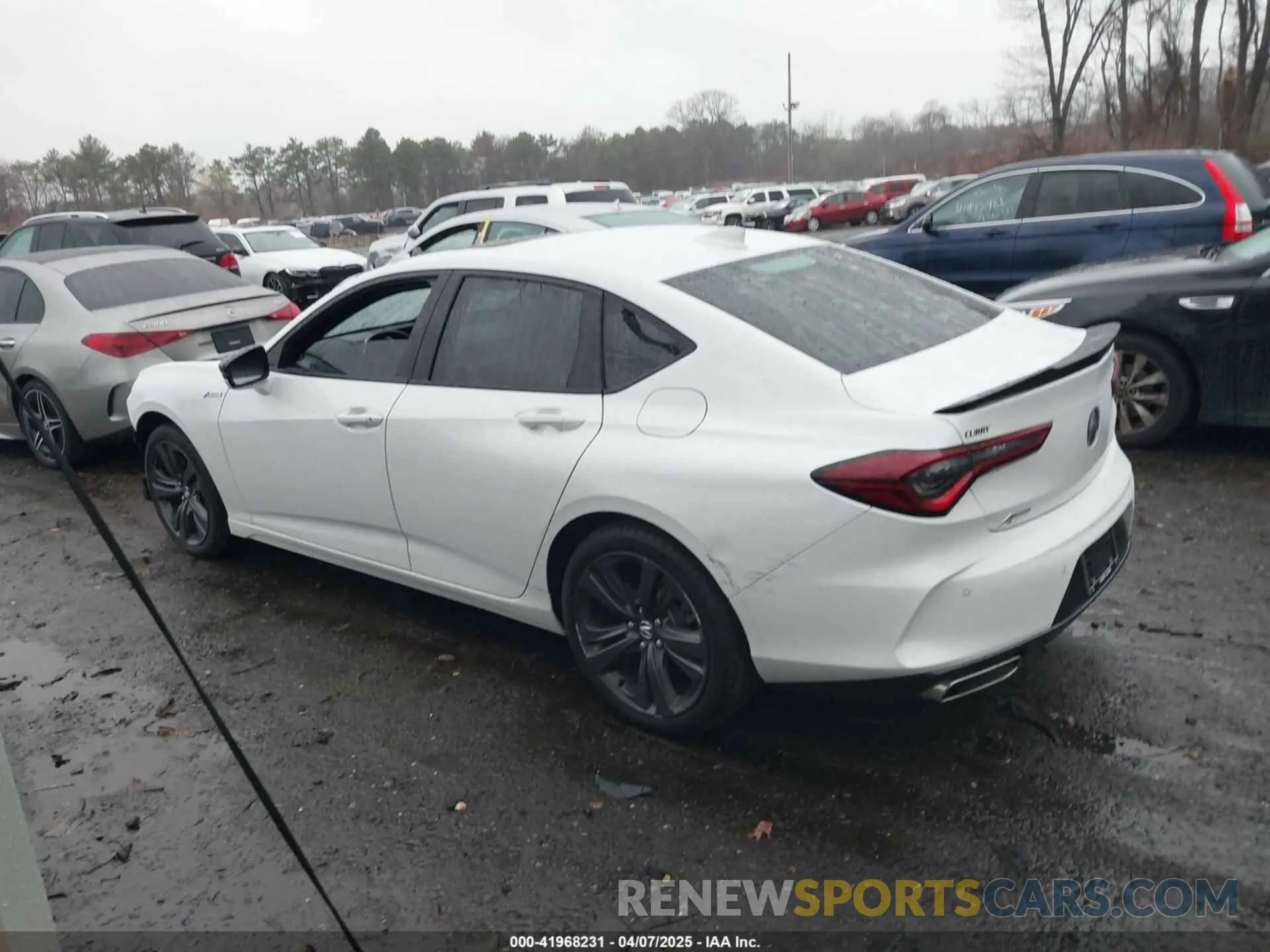 14 fotografías del automóvil dañado 19UUB6F52PA002372 ACURA TLX 2023