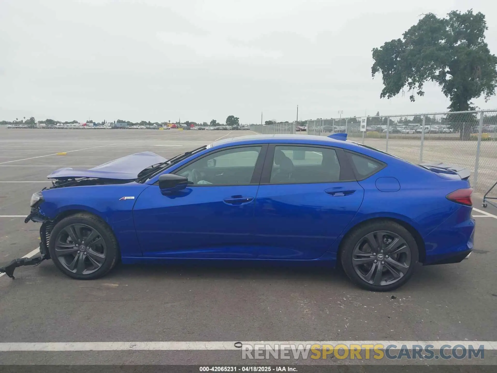 15 fotografías del automóvil dañado 19UUB6F58PA004255 ACURA TLX 2023