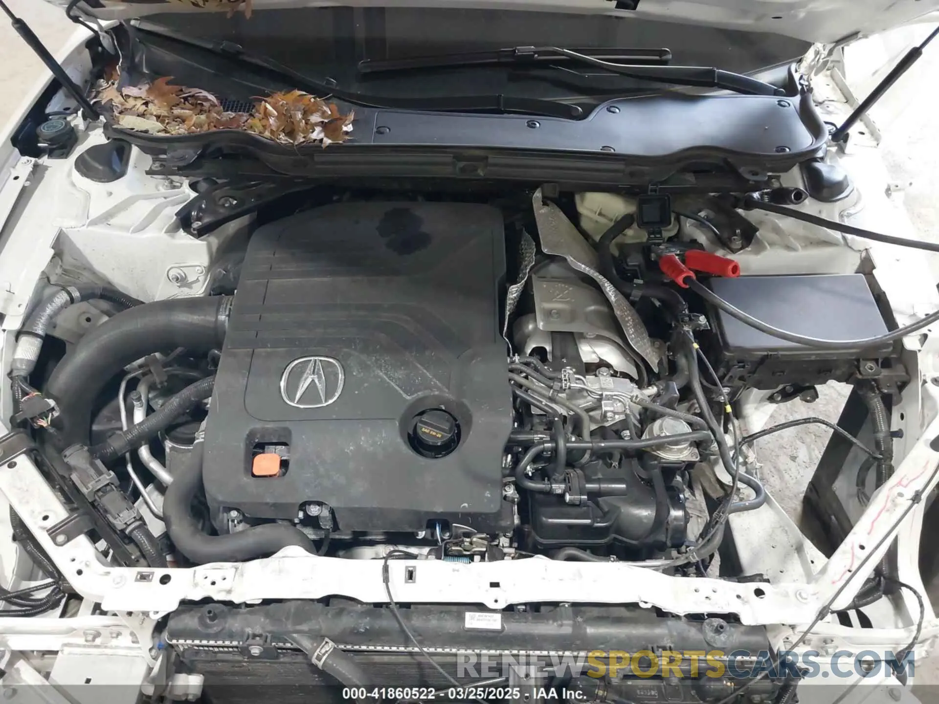 10 fotografías del automóvil dañado 19UUB7F95PA002147 ACURA TLX 2023