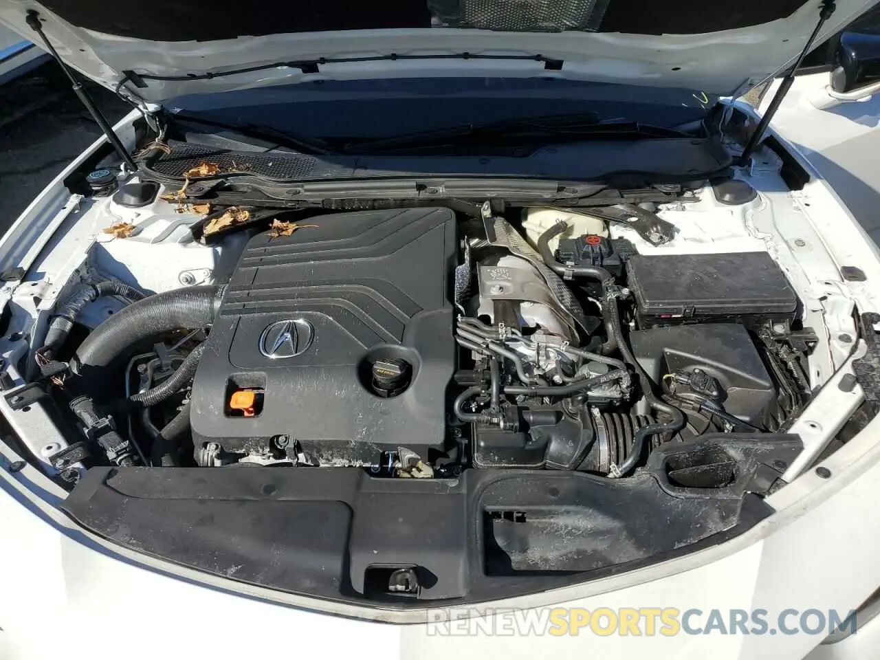 11 fotografías del automóvil dañado 19UUB7F95PA003122 ACURA TLX 2023