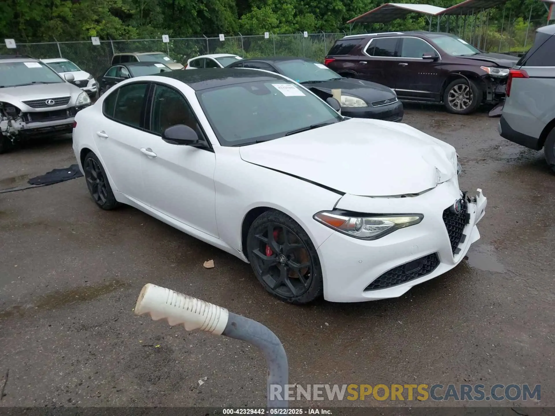 1 fotografías del automóvil dañado ZARFAMBN9M7640461 ALFA ROMEO GIULIA 2021
