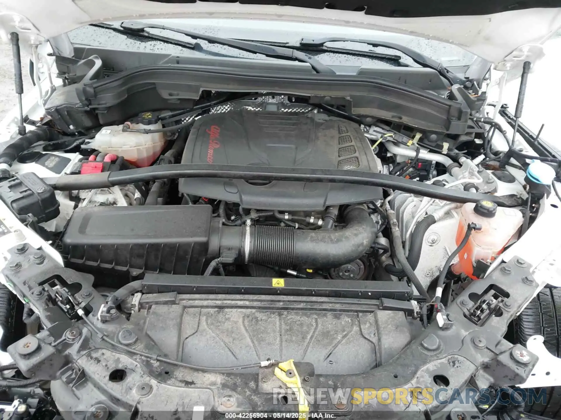 10 fotografías del automóvil dañado ZASPAKBN4K7C51007 ALFA ROMEO STELVIO 2019