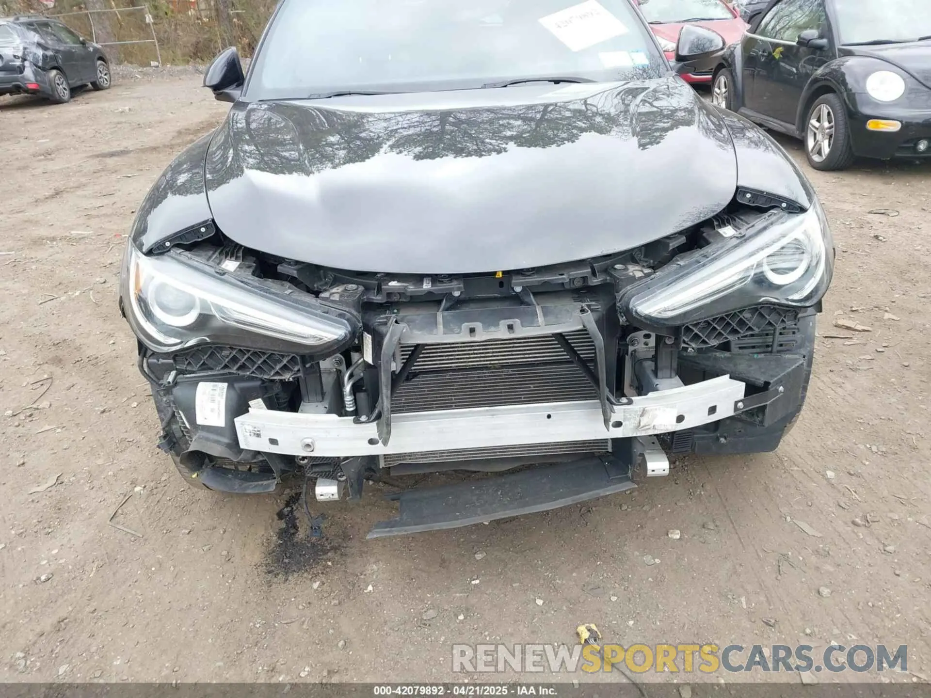 6 fotografías del automóvil dañado ZASPAKBN6P7D49639 ALFA ROMEO STELVIO 2023