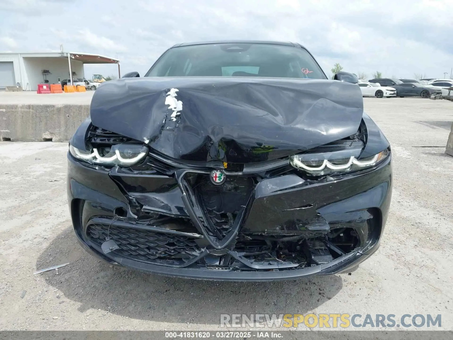 12 fotografías del automóvil dañado ZASPATDW3R3048717 ALFA ROMEO TONALE 2024