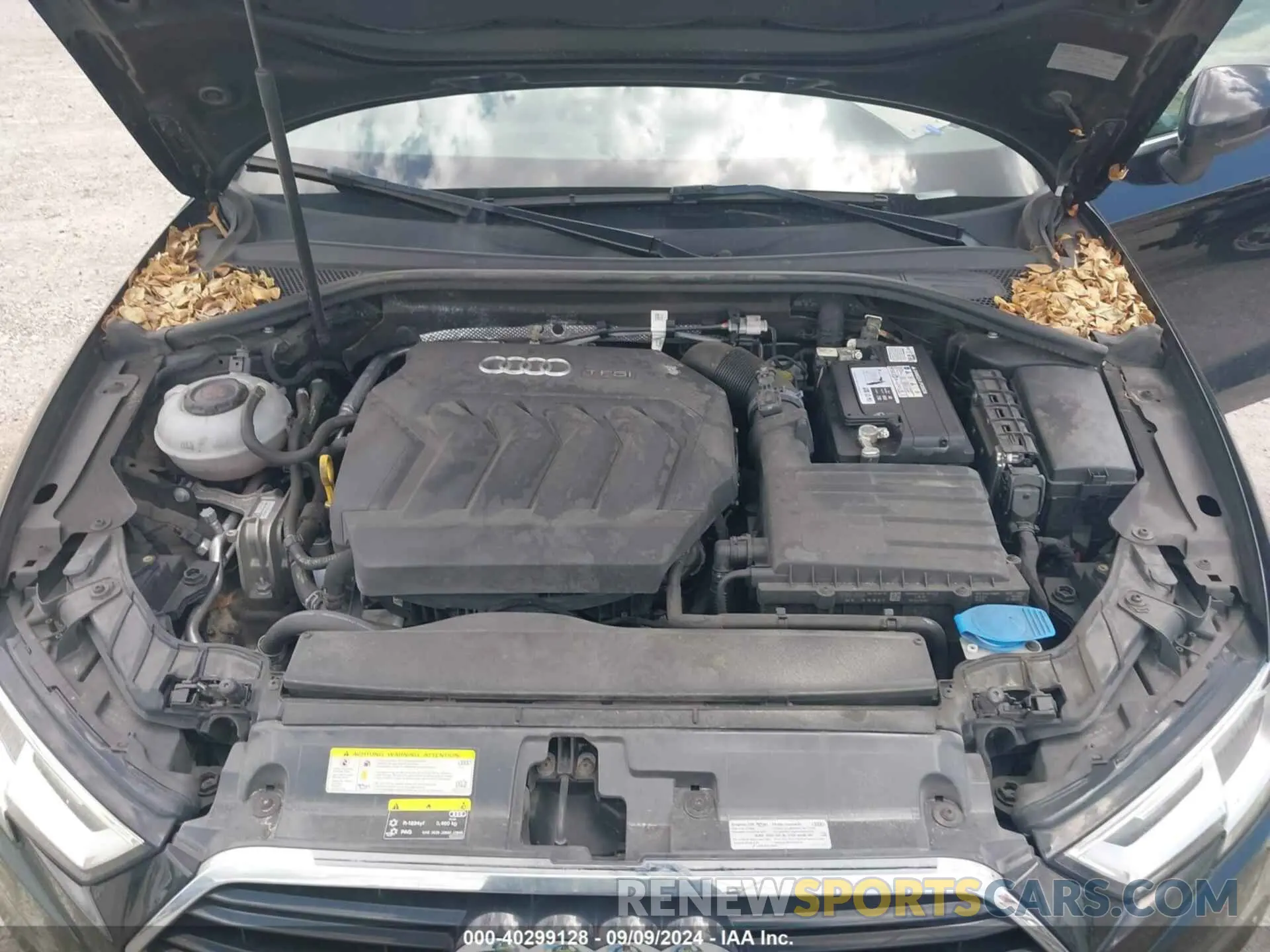 10 fotografías del automóvil dañado WAUAUGFF0K1014245 AUDI A3 2019