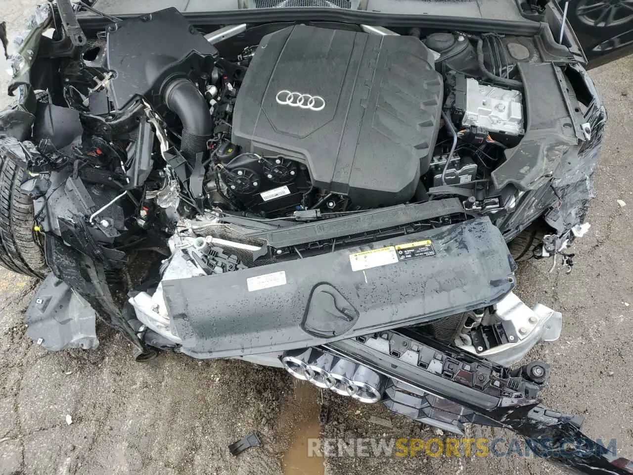 11 fotografías del automóvil dañado WAUEAAF41RN013193 AUDI A4 2024