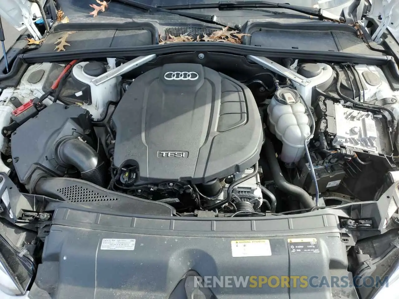 11 fotografías del automóvil dañado WAUENCF52KA096946 AUDI A5 2019