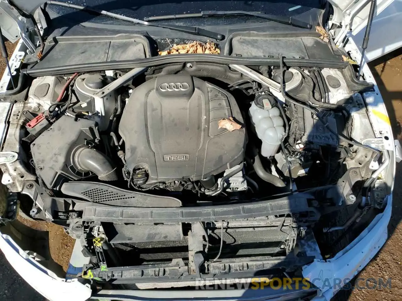 11 fotografías del automóvil dañado WAUENCF56KA077381 AUDI A5 2019