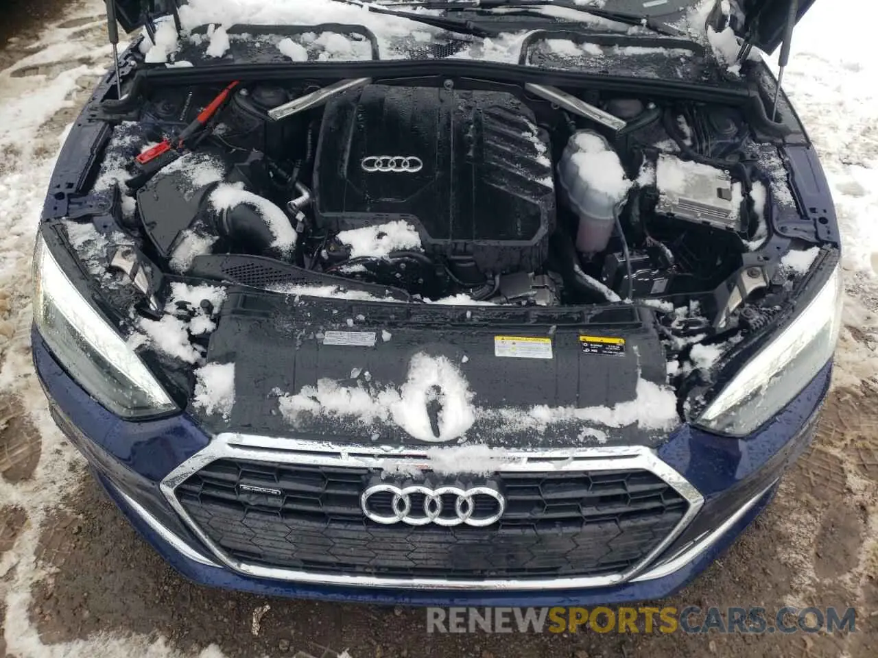 11 fotografías del automóvil dañado WAUABCF52PA042531 AUDI A5 2023