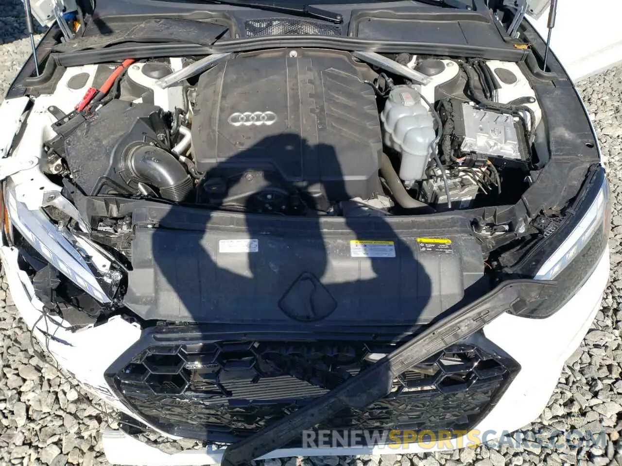 11 fotografías del automóvil dañado WAUFACF50RA098253 AUDI A5 2024