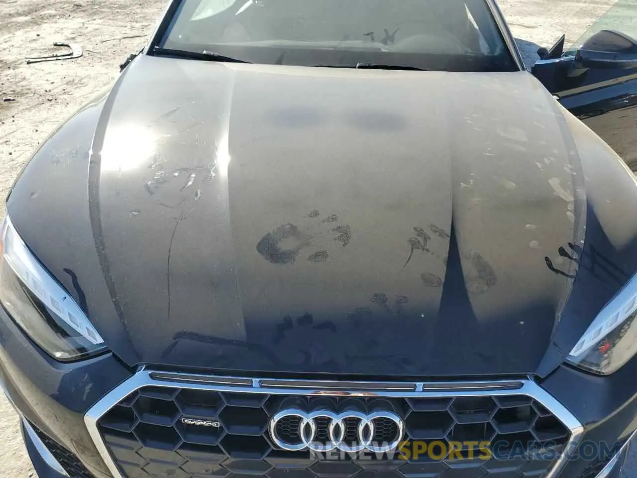 13 fotografías del automóvil dañado WAUFACF51RA019446 AUDI A5 2024