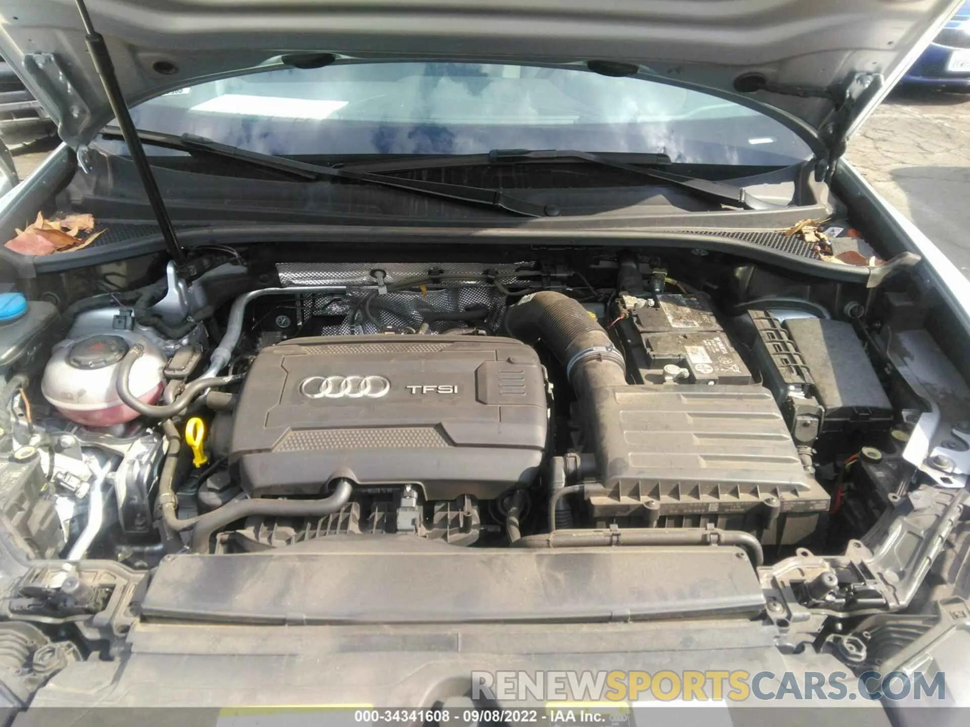 10 fotografías del automóvil dañado WA1AECF38K1086920 AUDI Q3 2019