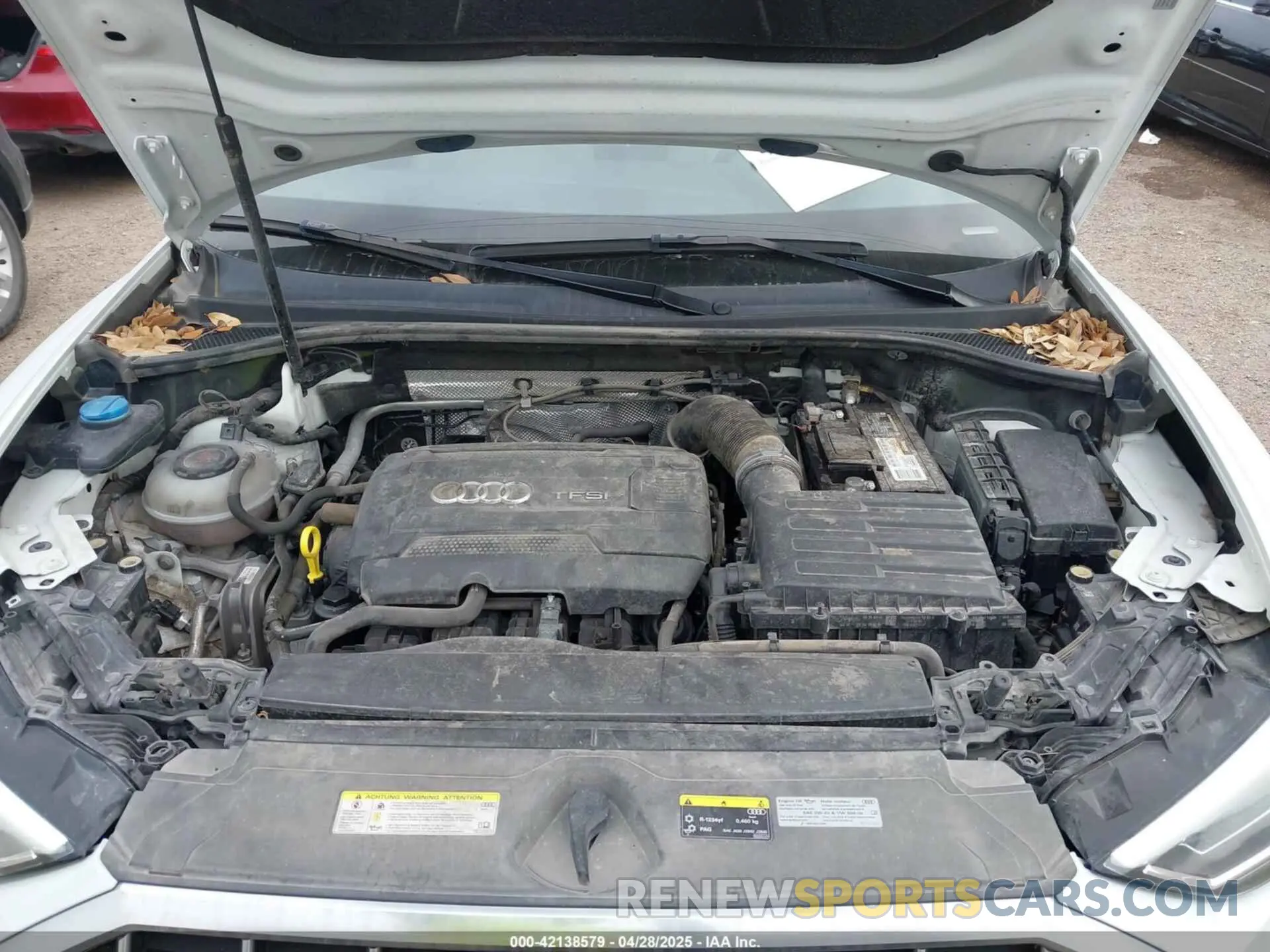 10 fotografías del automóvil dañado WA1EECF31K1067899 AUDI Q3 2019